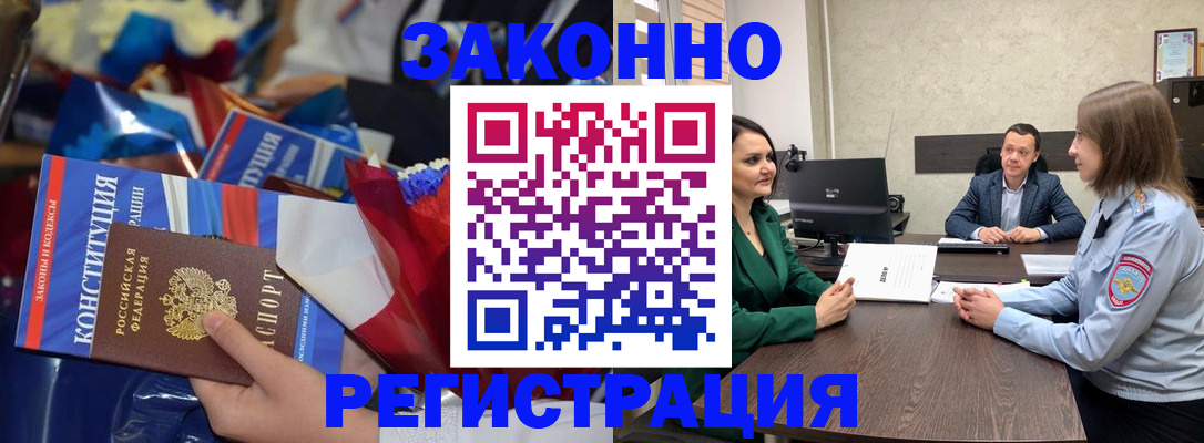 прописка 2025 в Светлогорске